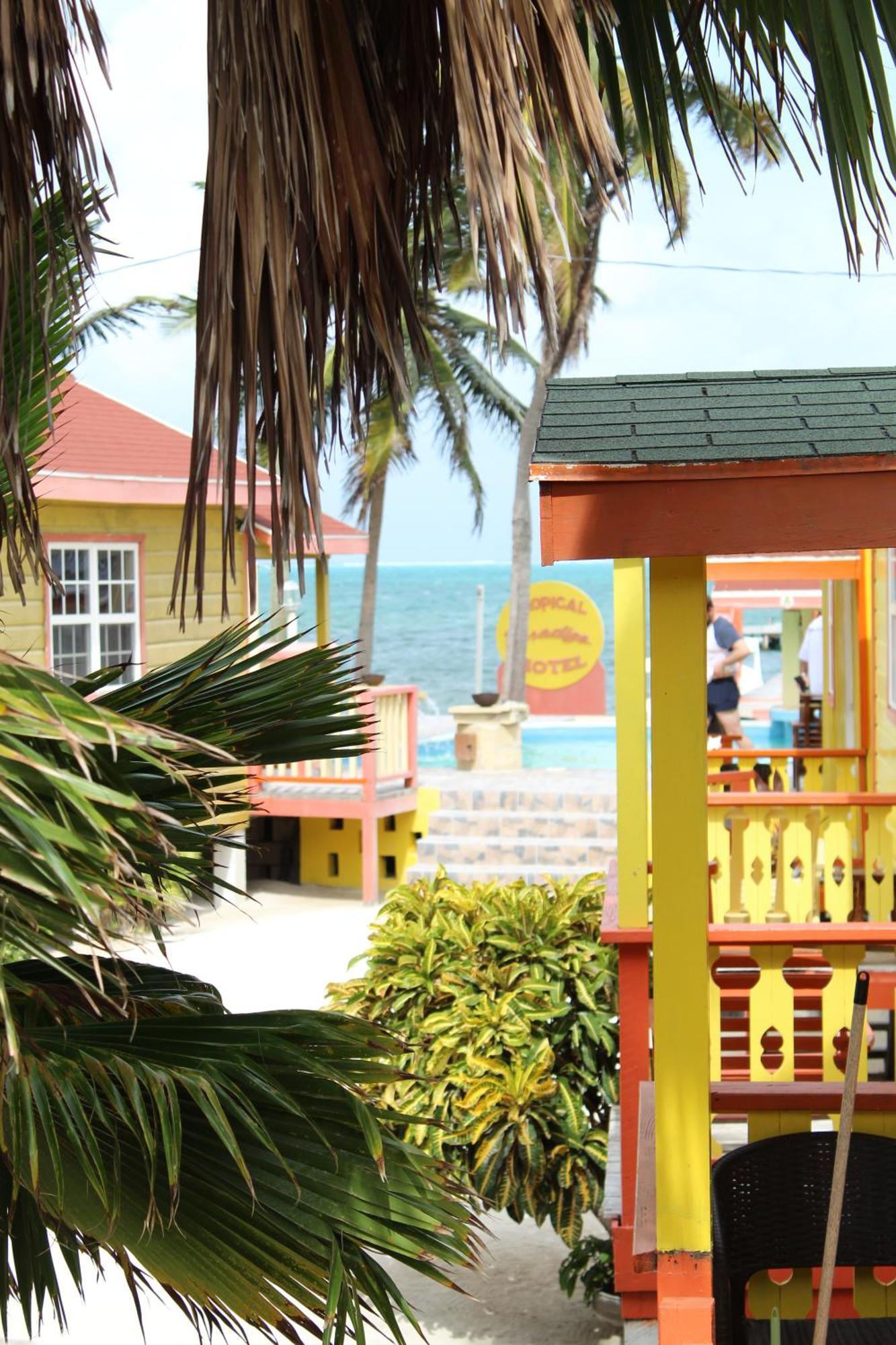 Hotel Tropical Paradise Cayo Caulker Exterior foto